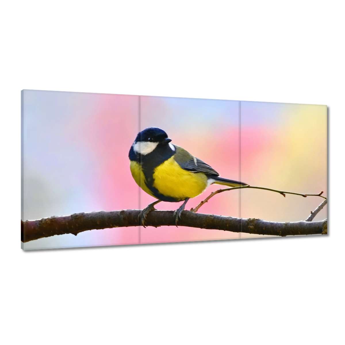 Obrazy 180x90 Žltý vtáčik