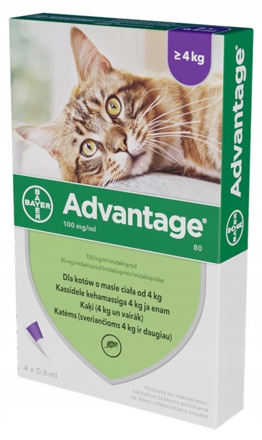 Bayer Advantage kot powyżej 4kg 4 x 0,8ml
