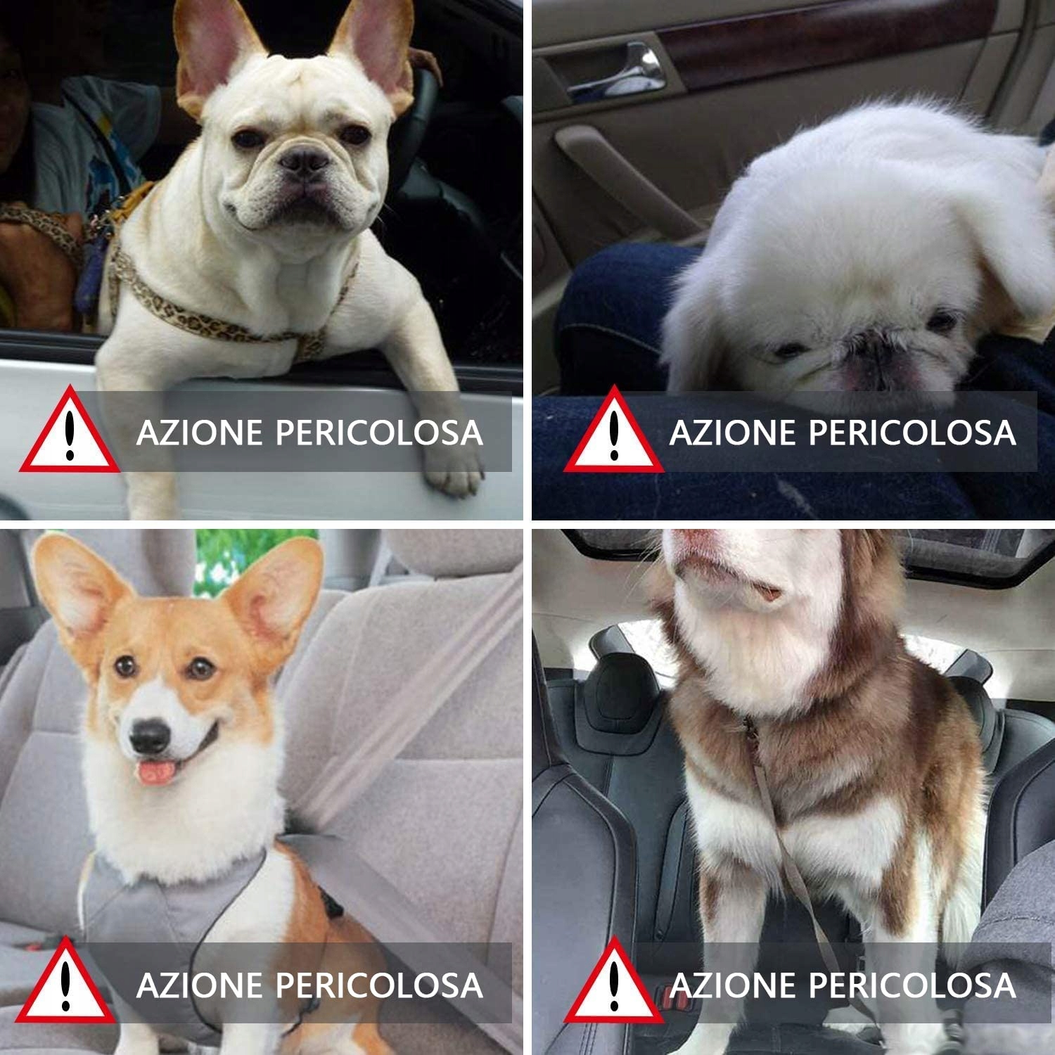 WODONDOG Wodoodporny Fotelik Samochodowy Dla Psów Małych i Średnich — miniatura 3