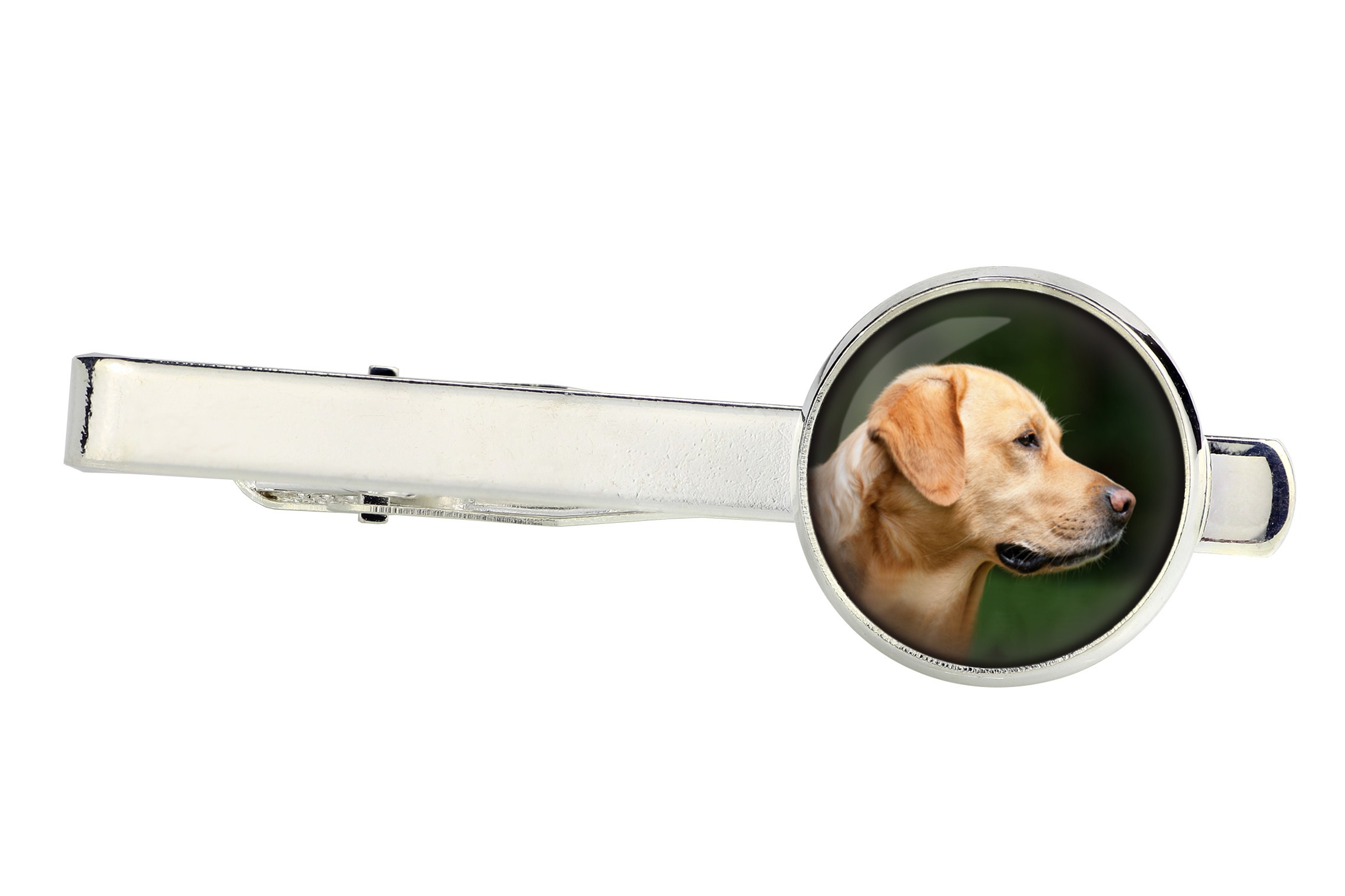

Labrador Retriever Spinka do krawata Twoje zdjęcie