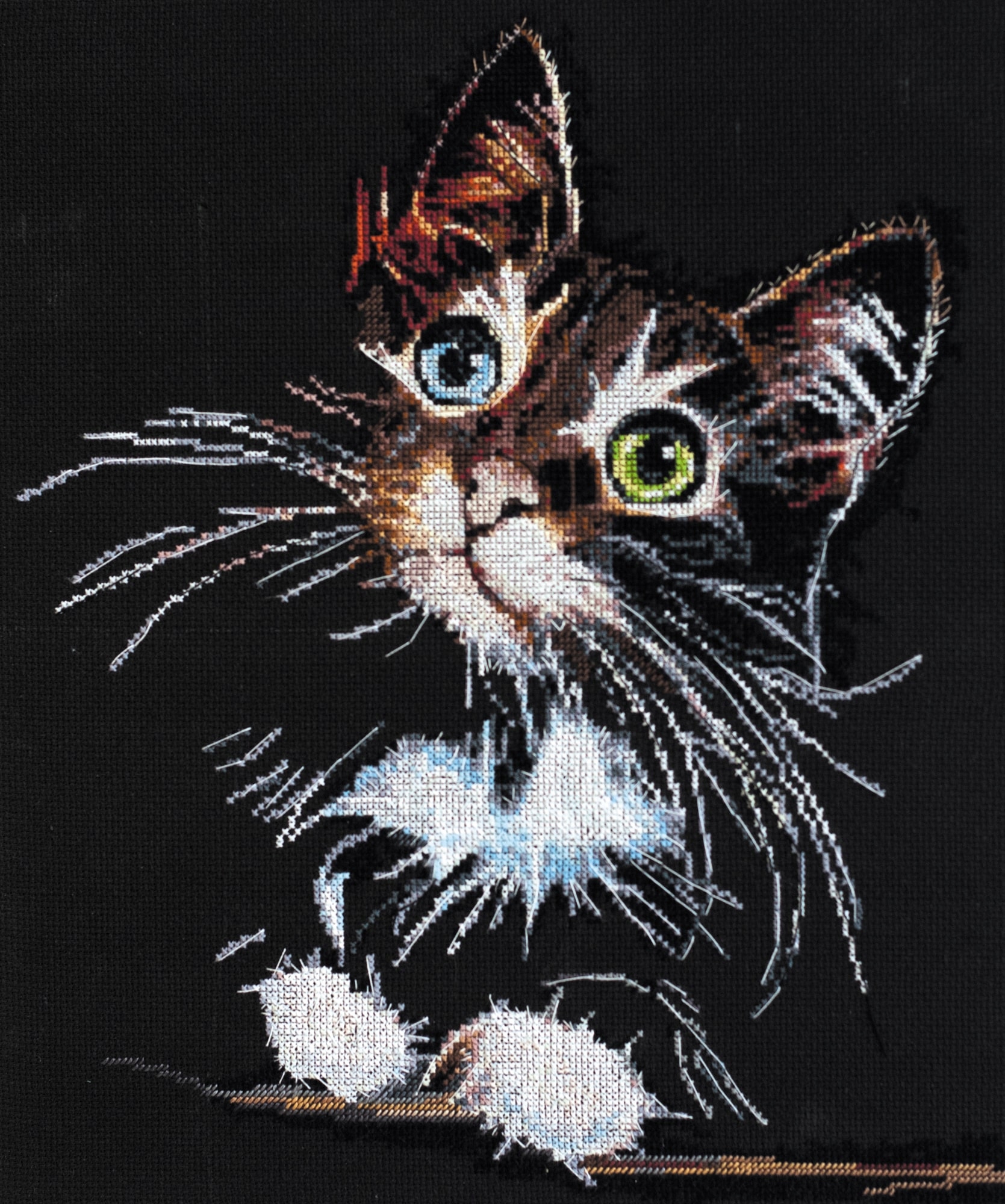 Sada křížkového stehu "Fluffy kitten" vyšívací Diy