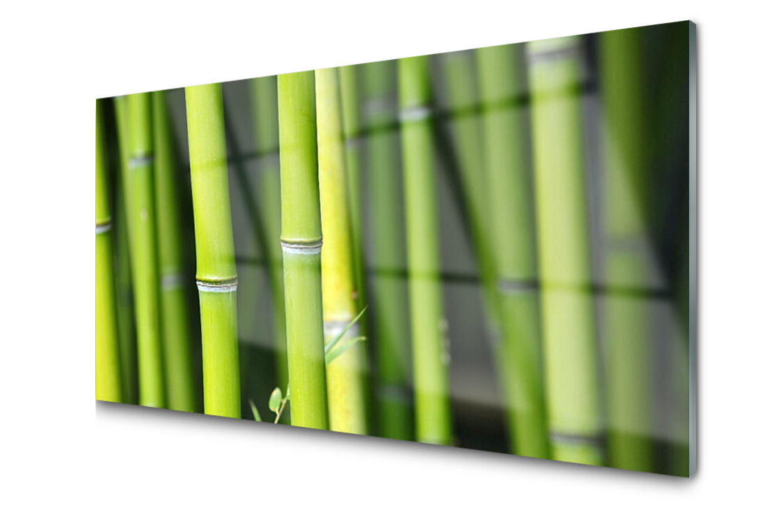 

Panel szklany dekor Bambus Roślina 120x60 + Klej