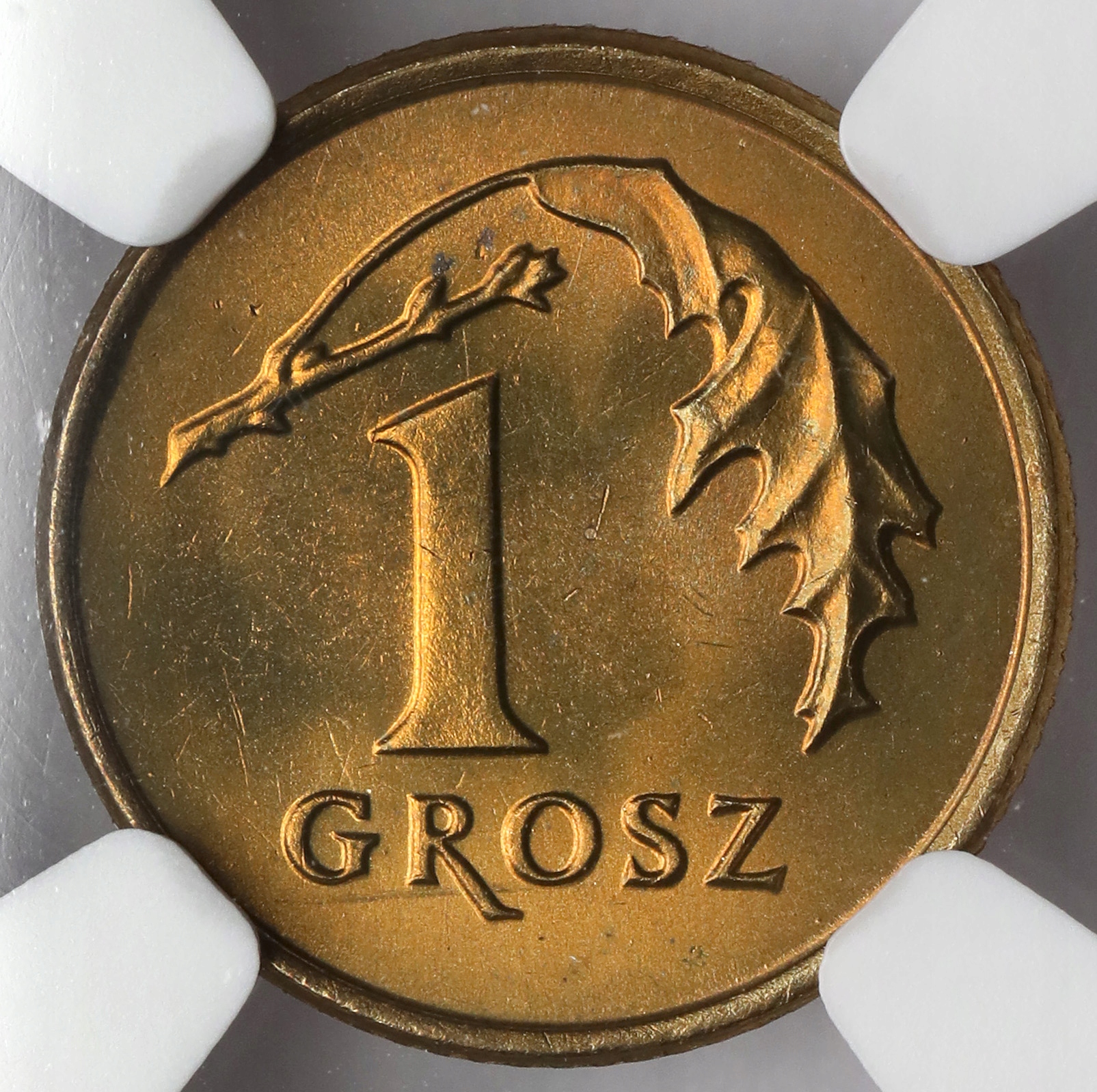 6088. 1 grosz 1993 - NGC MS66