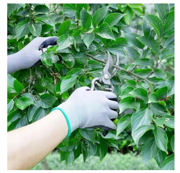 WYRYWACZ DO CHWASTÓW SEKATOR RĘCZNY STALOWY Stan opakowania oryginalne