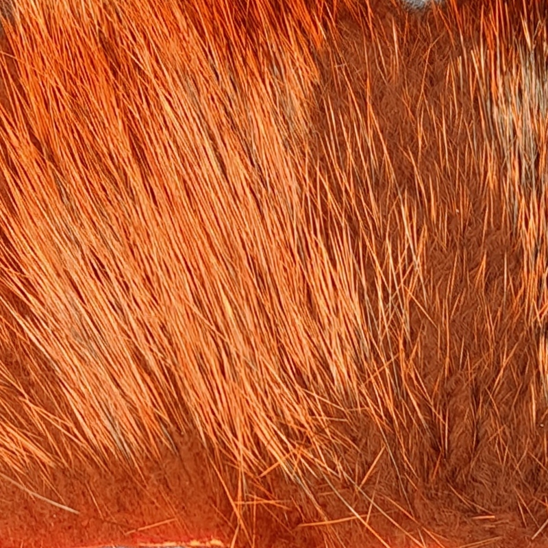 Futro z Nutrii Farbowane do Much Łososiowych Fly Dep Fl Orange FD300FO