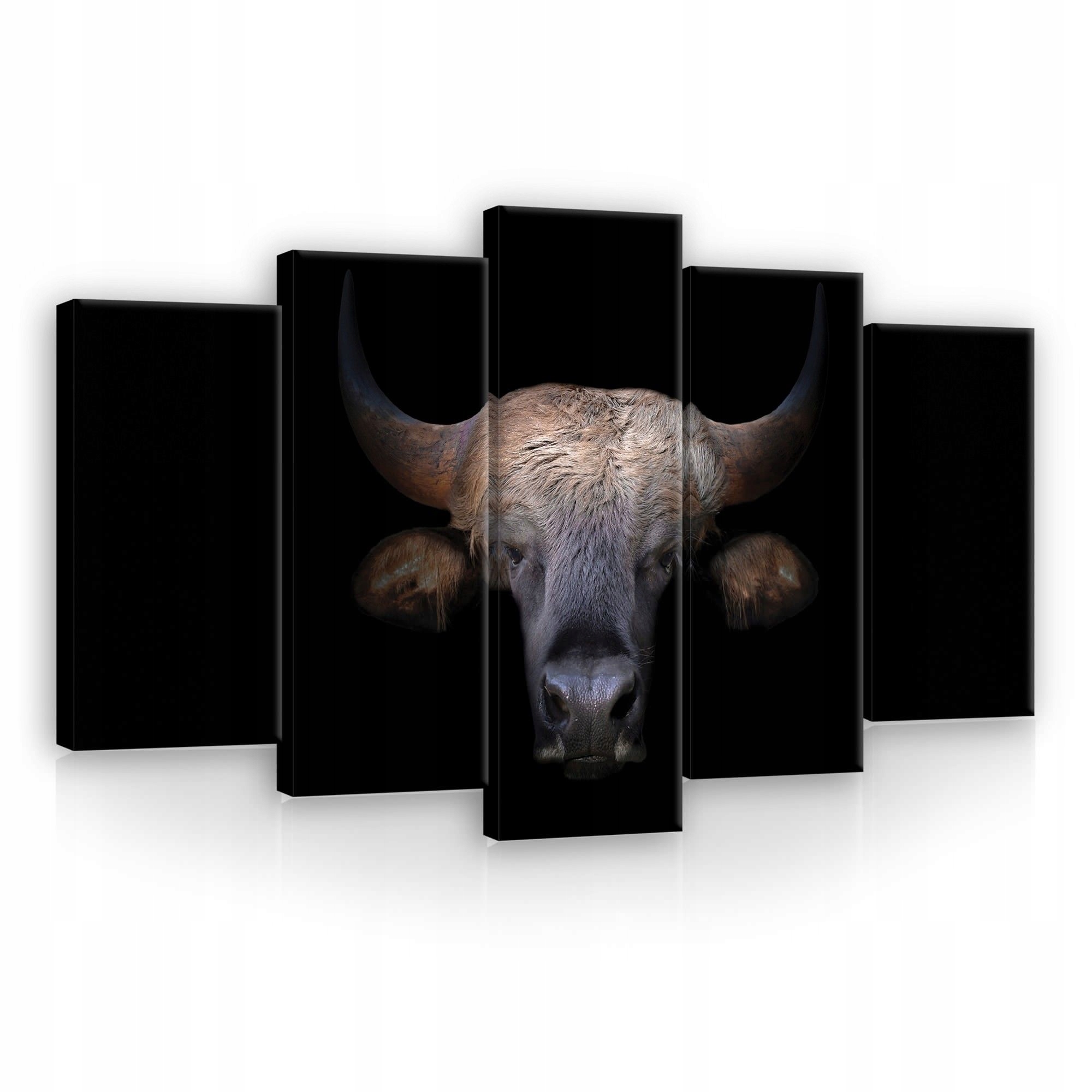 Obraz 100x60 Síla býk příroda zvíře síla zrak rohy tmavé pozadí animalismus