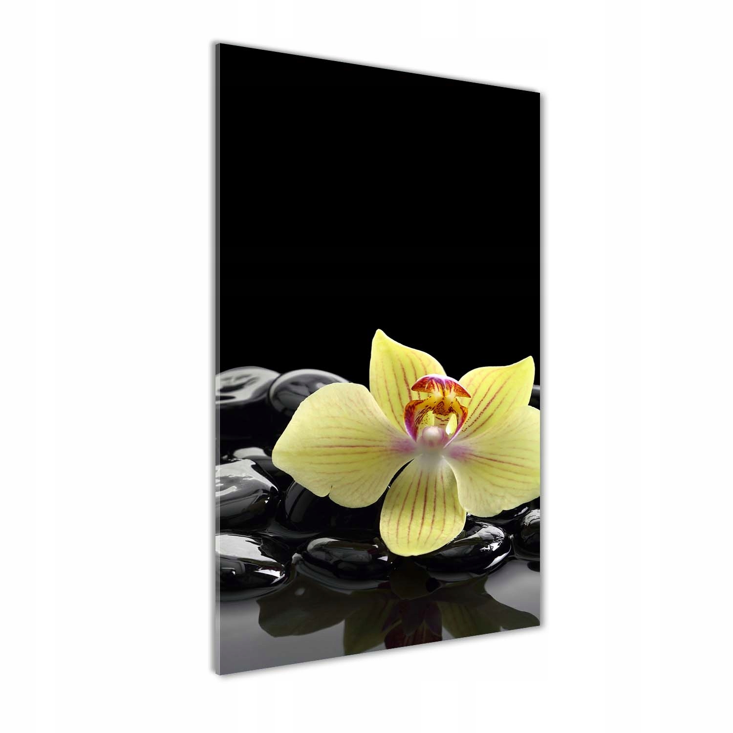 

Foto obraz akrylowy Orchidea i kamienie 70x140cm