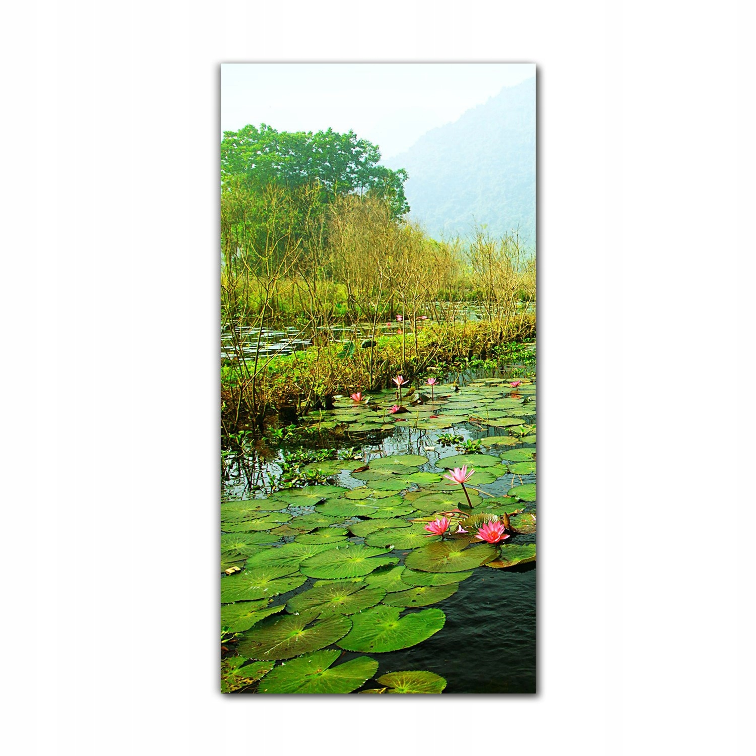 

Obraz na szkle do kuchni 70x140 cm Wietnam kwiaty