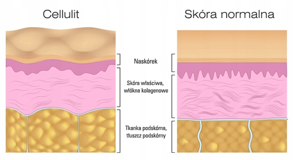 NAJMOCNIEJSZY KONCENTRAT CYNAMON KOFEINA Z PAPRYKĄ Kod producenta 568