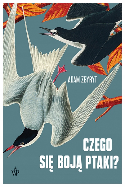 Czego się boją ptaki Adam Zbyryt