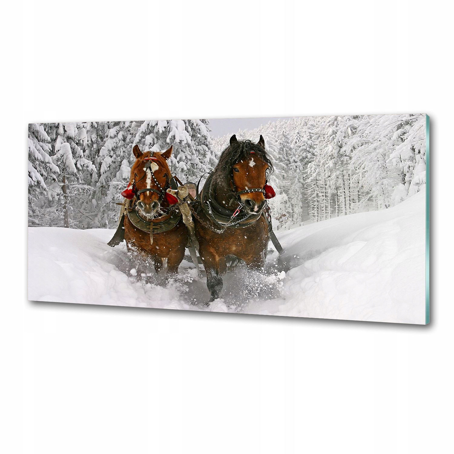 Sklenený panel do kuchyne Kulig 125 x 50 cm Lepidlo