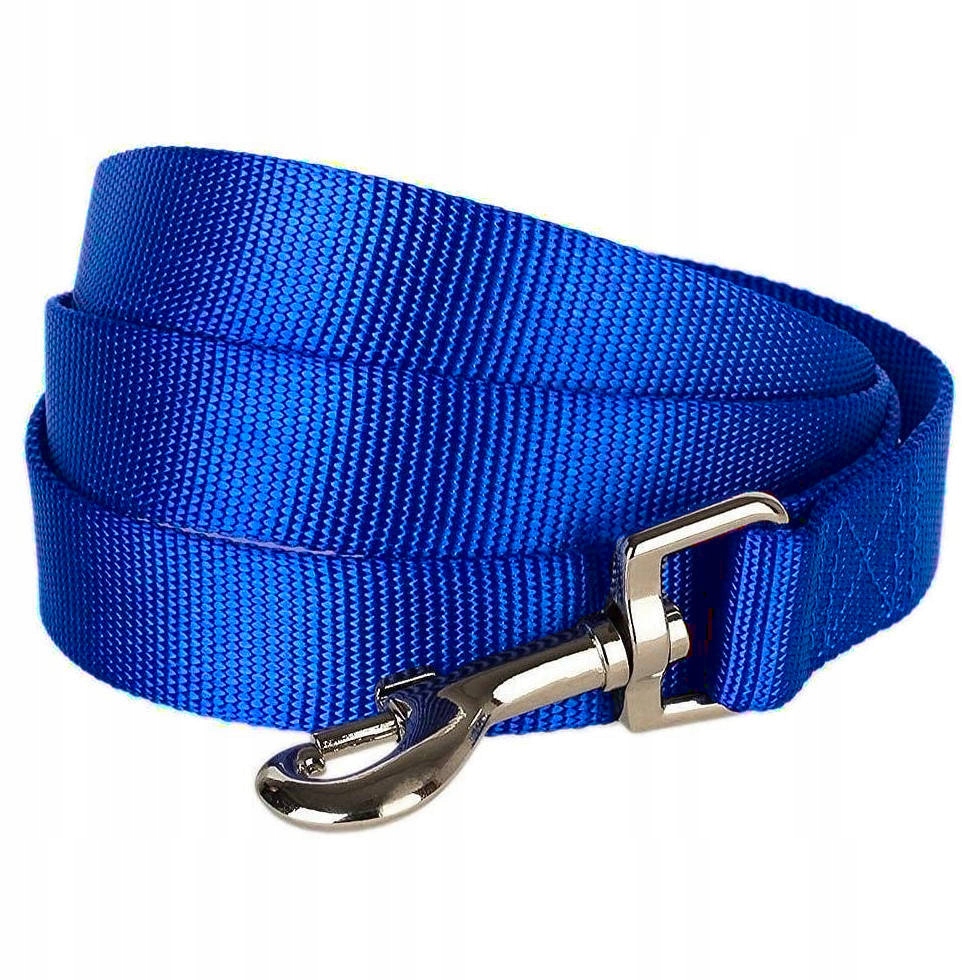 

Mocna Treningowa Smycz Dla Psa Xs 3m Niebieska