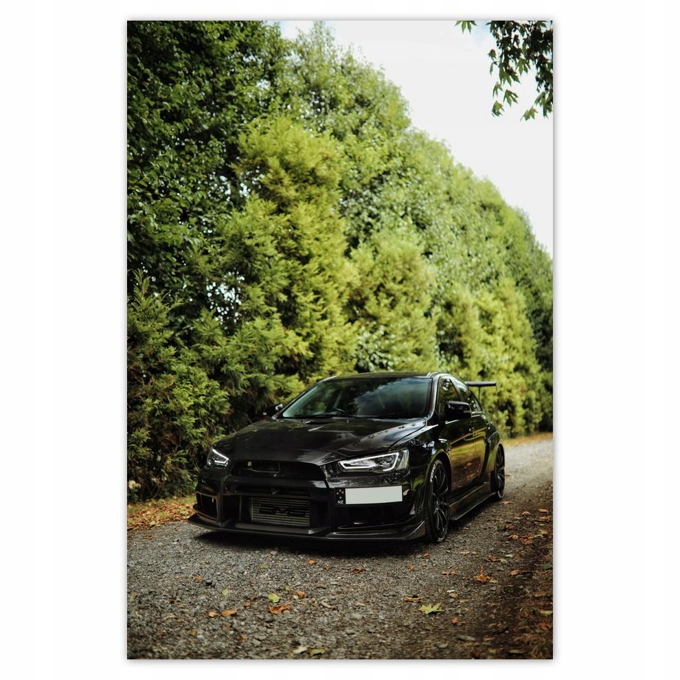 

Plakat 62x93 Motoryzacja Samochód Auta