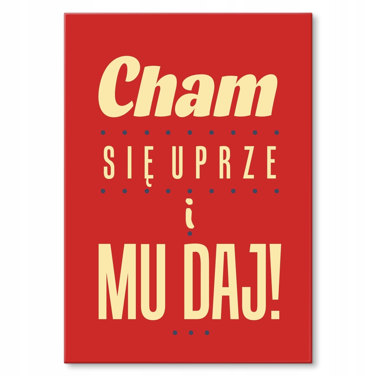 Kovový plakát Cham vydrží a dej mu Šidítko Plech 42 x 59,4 cm +dárek