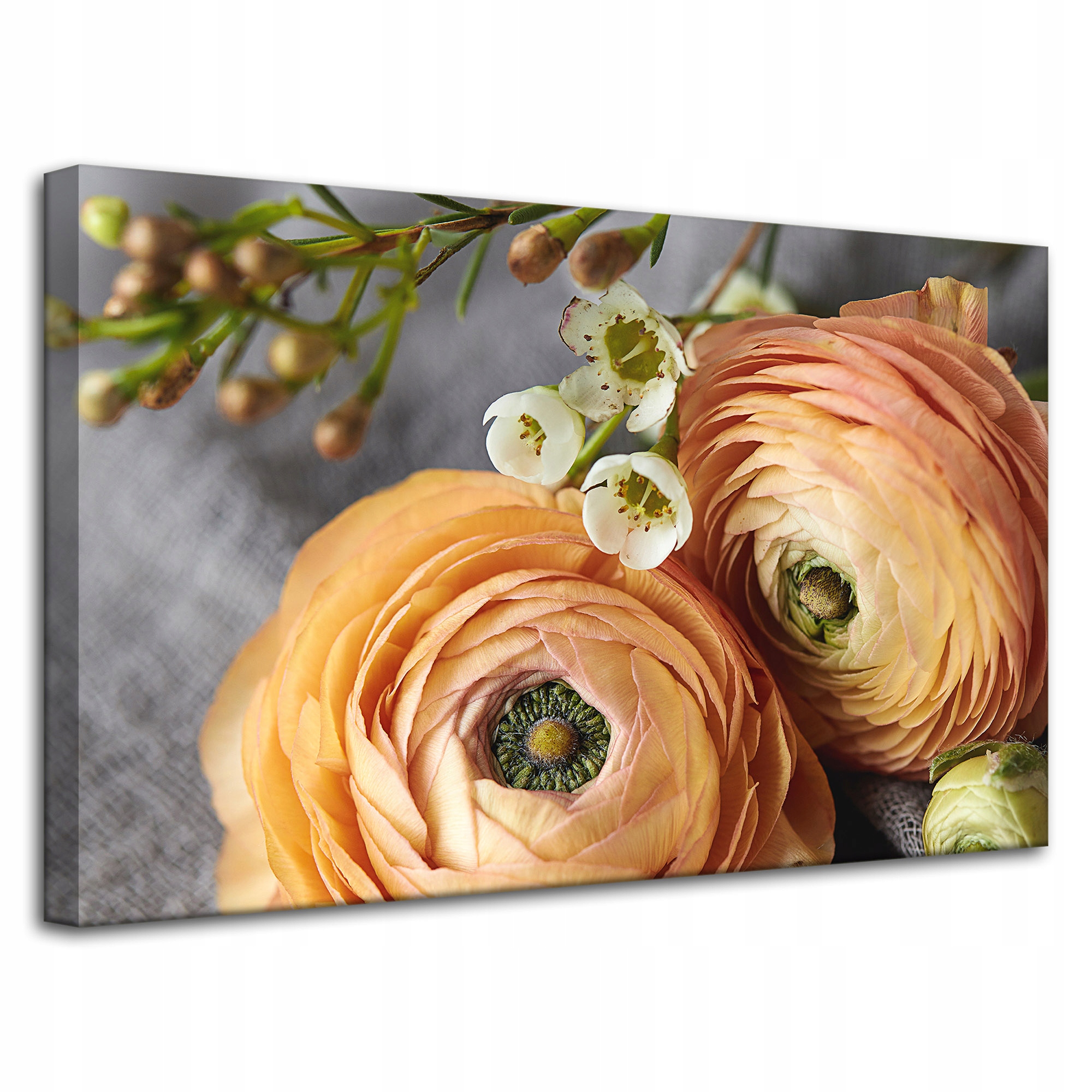 Obraz Canvas Botanika Čajové květiny 80x50 cm