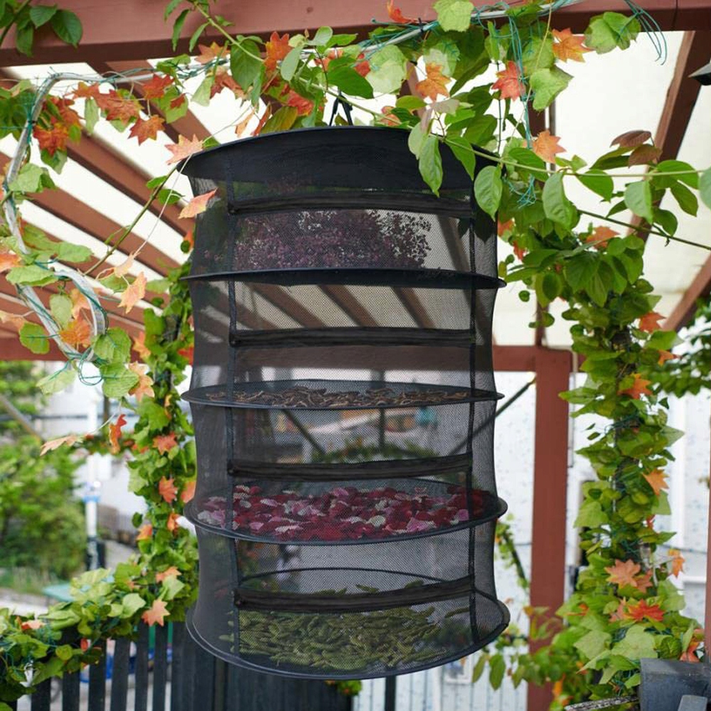 SUSZARKA WISZĄCA SIATKA DO SUSZENIA ZIÓŁ GRZYBÓW RYB OWOCÓW WARZYW 4 PÓŁKI Rodzaj inny