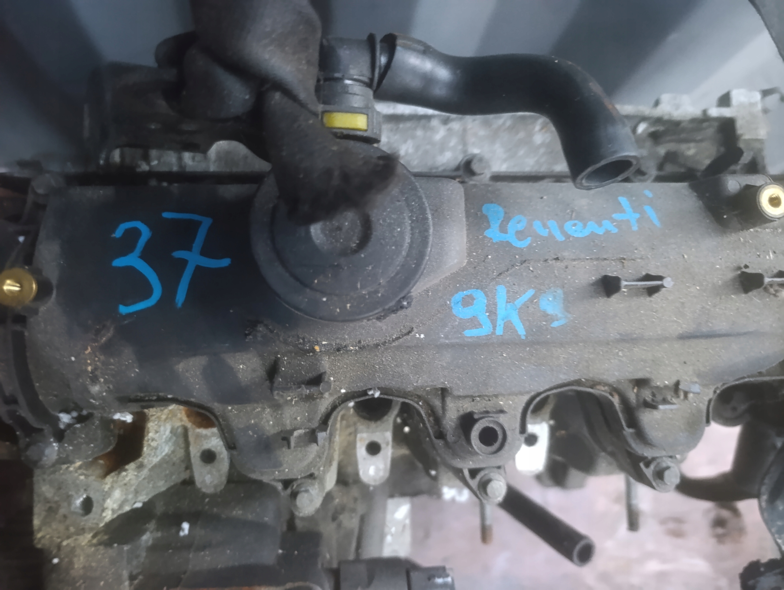 Двигатель renault KANGOO I 1.5 K9K
