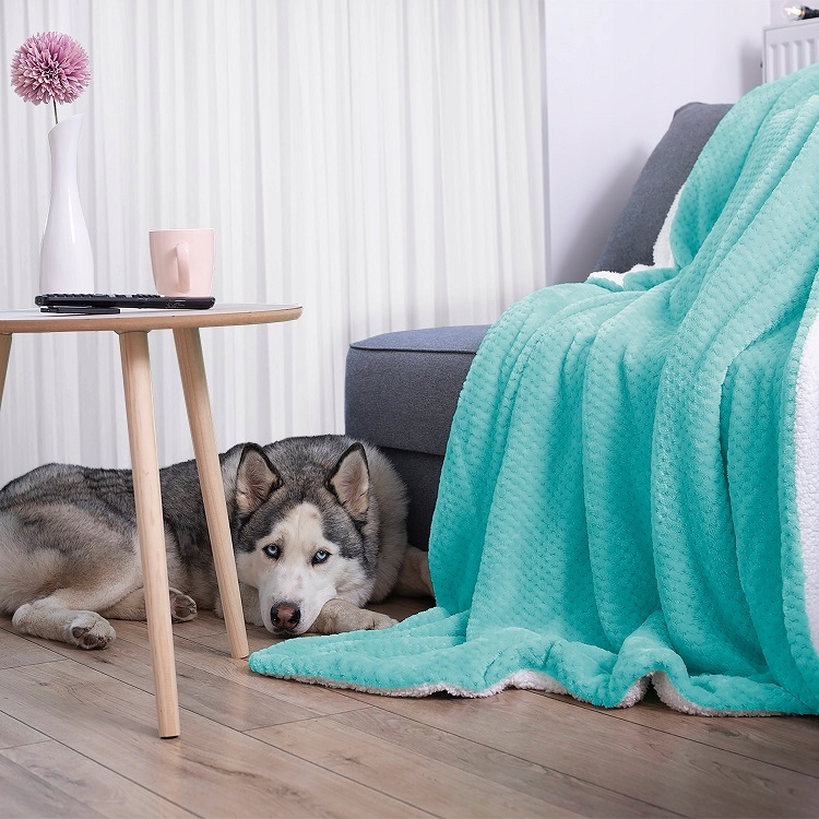 Pikowany pled Koc Miś ciepły Turkusowy 170x210cm Marka inna