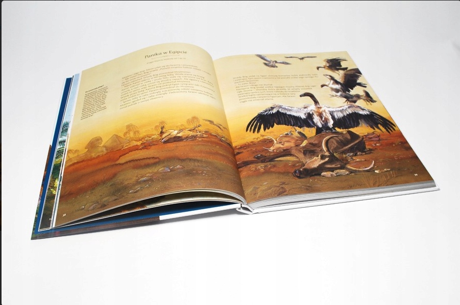 BIBLIA WIELKIE OPOWIEŚCI Gatunek Literatura dziecięca