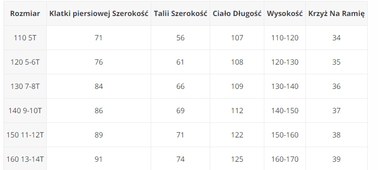 Wednesday Addams Strój Sukienka peruka przebranie Kolor dominujący czarny