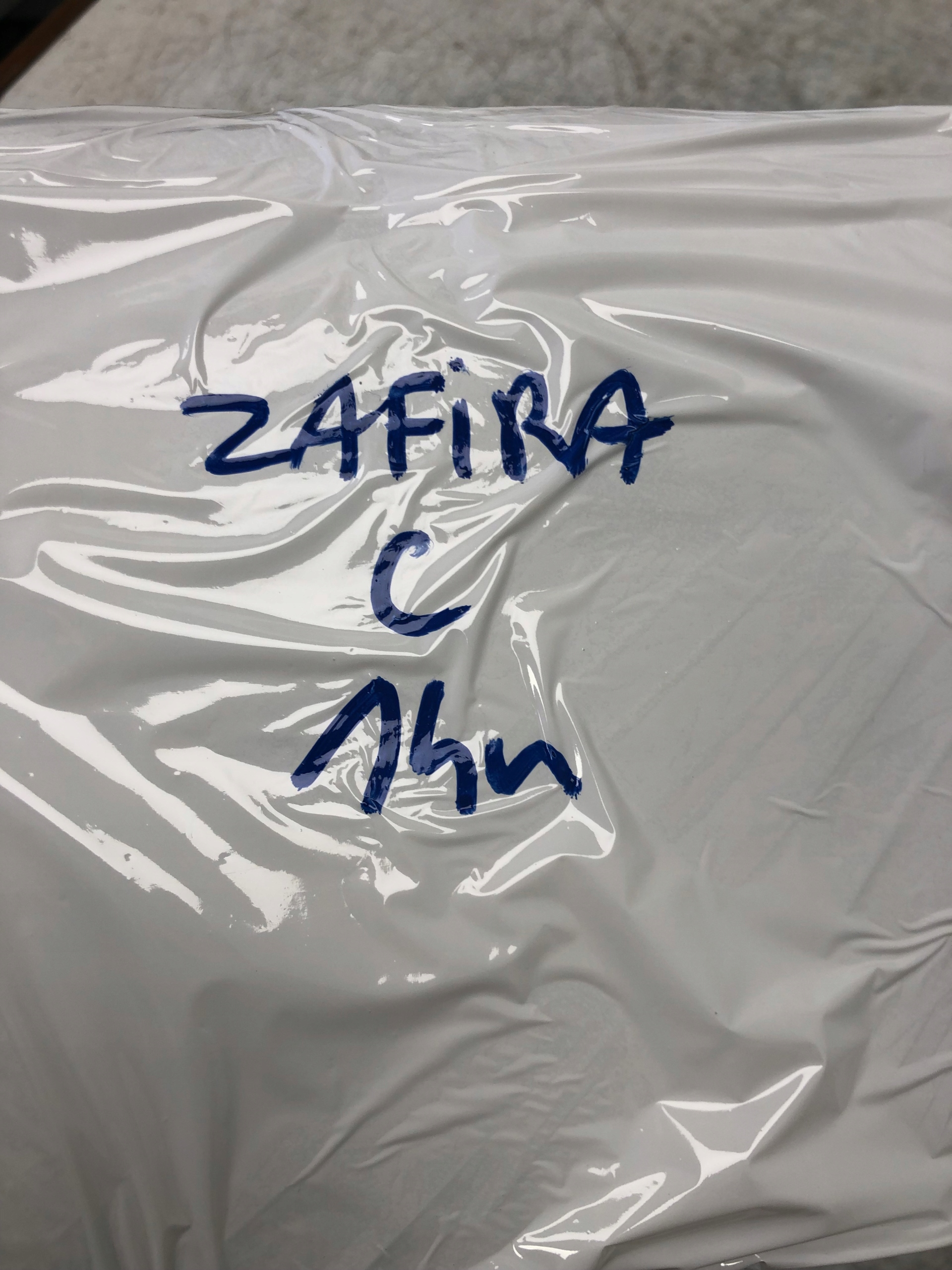 visor visor left right OPEL ZAFIRA C 13302542