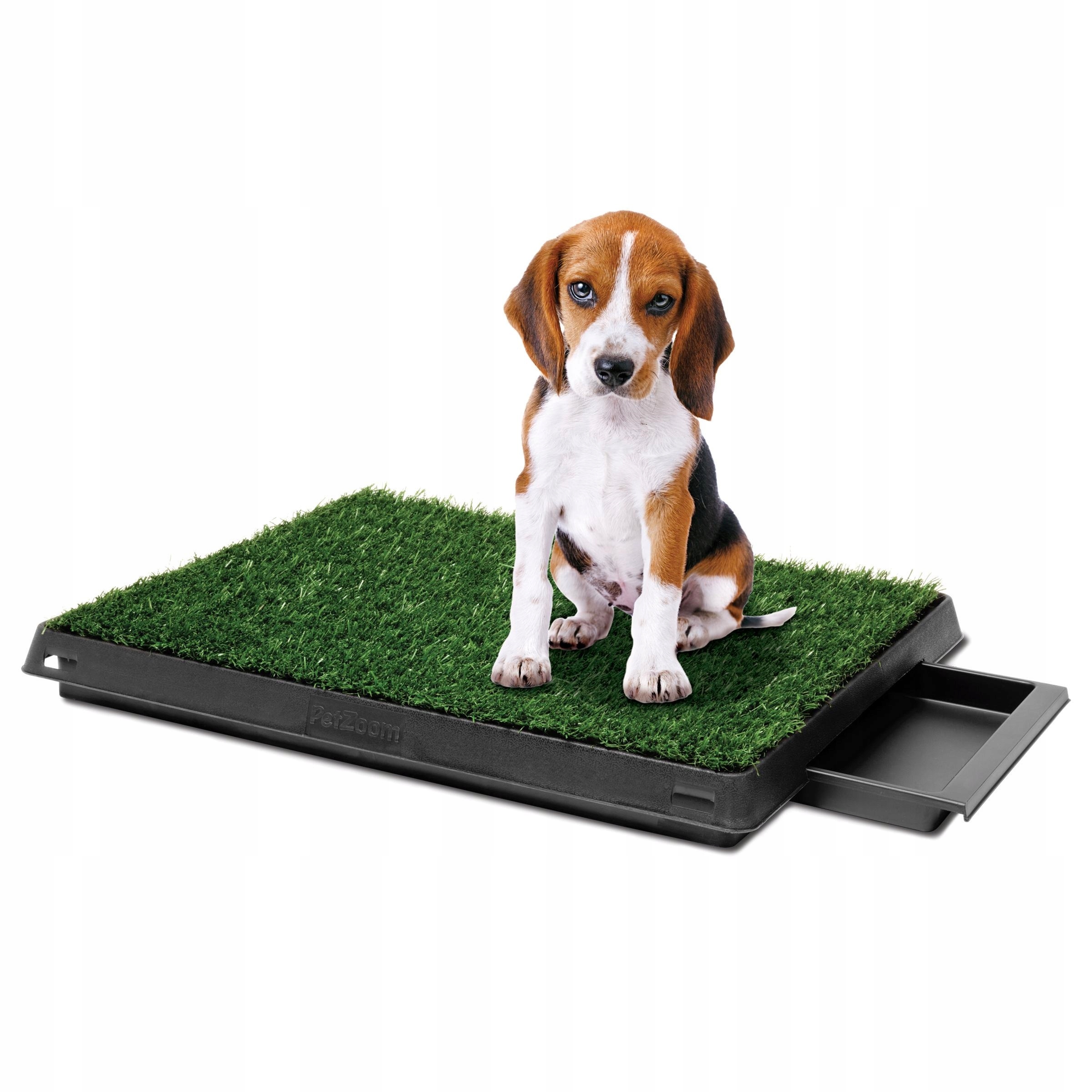 Wc Kuweta dla psów z trawą do nauki sikania Pet Potty Delux 63-50-6cm