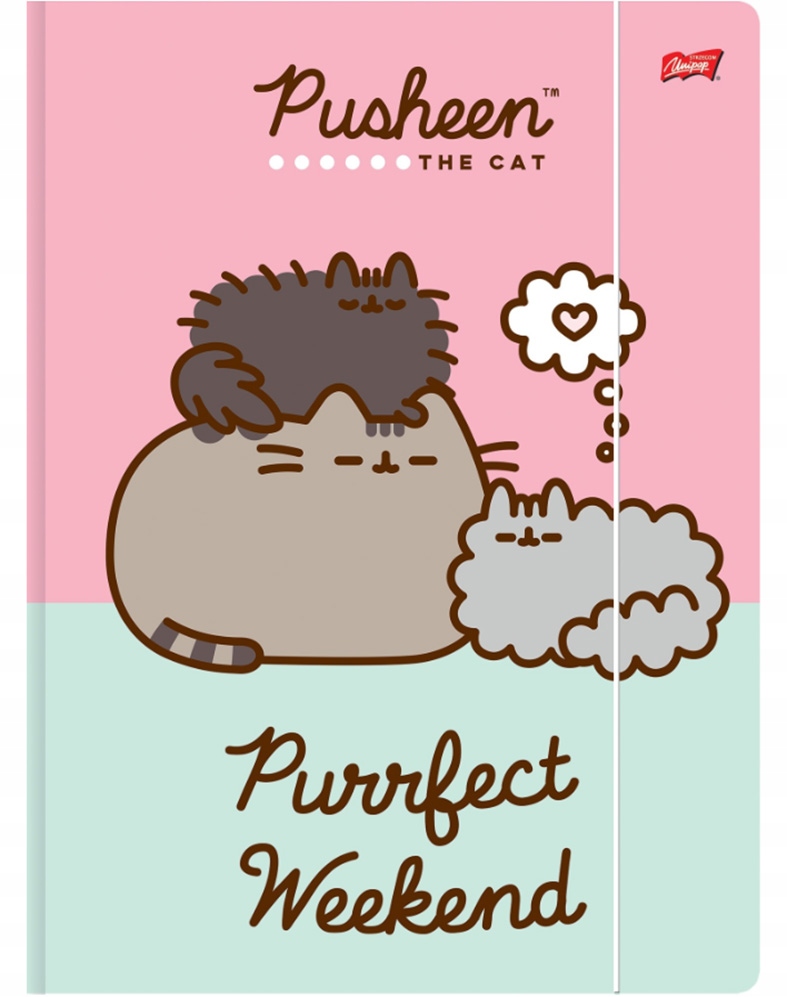 TECZKA Z GUMKĄ A4 PUSHEEN BAMBINO