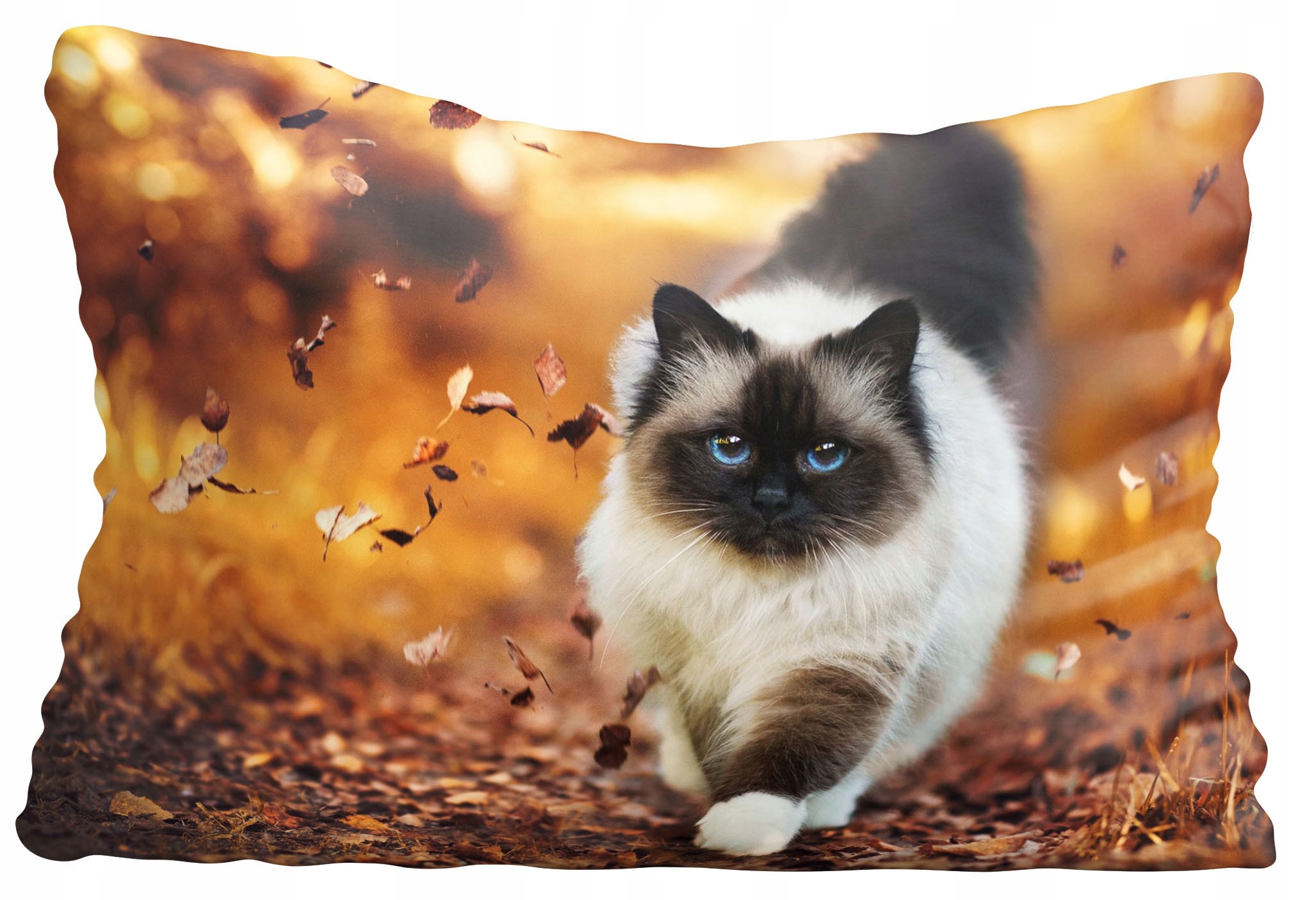 

Poszewka na poduszkę kot,kotki 40x80cm 4102