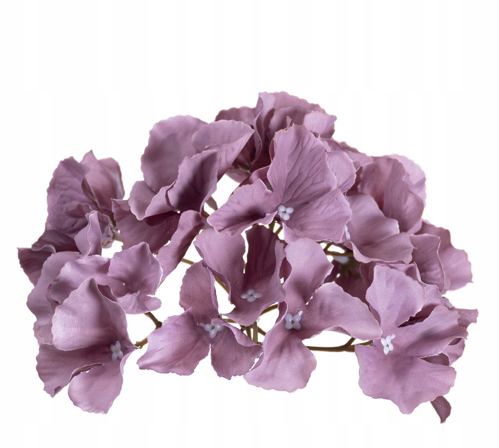 

Hortensja główka śliwkowo fioletowa do wiązanek