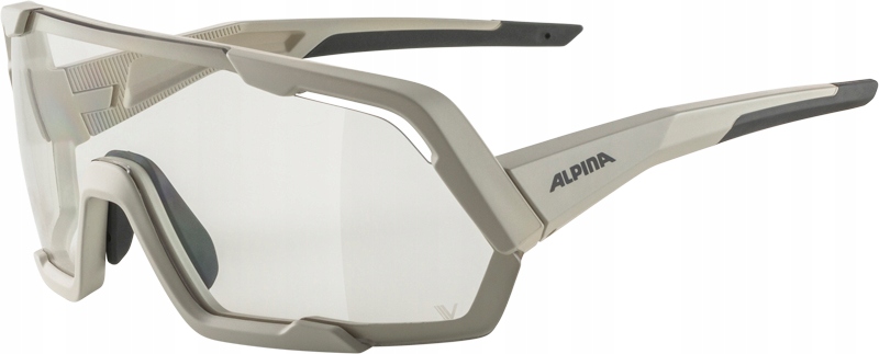 Okulary Alpina Rocket V cool-grey matt