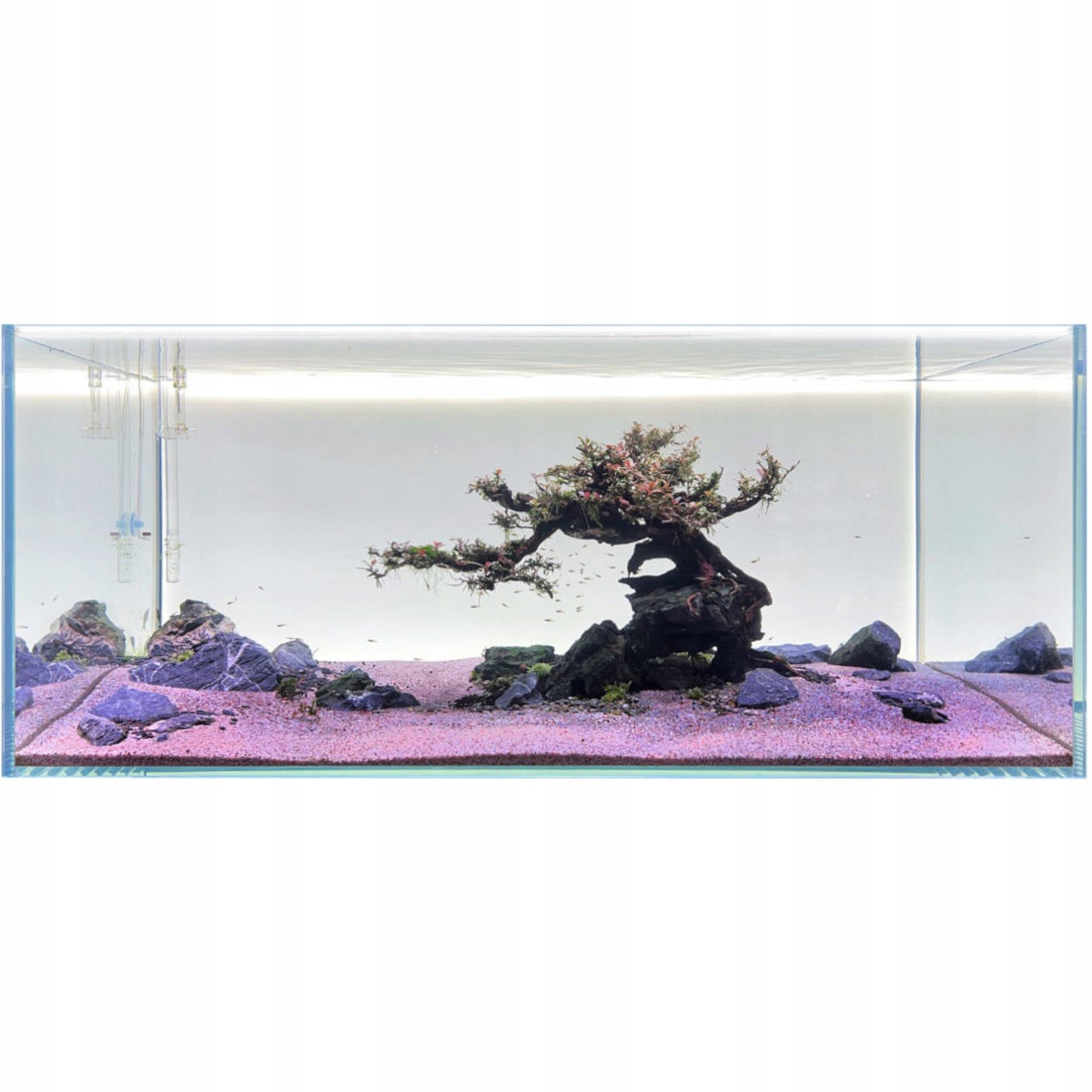 Diversa Backlight LED 120x50 - Tło podświetlane białe do akwarium