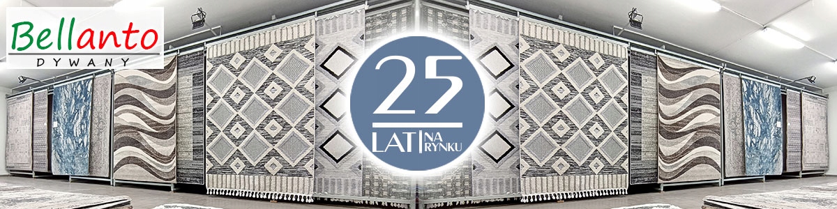 MODNY DYWAN KREMOWY SZARY VALENCIA NOWOCZESNY MIĘKKI DO SALONU 140x200 Wysokość runa 8 mm