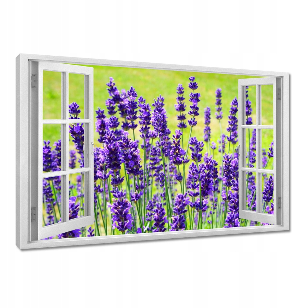 

Obrazy 120x80 Kwiaty lawendy