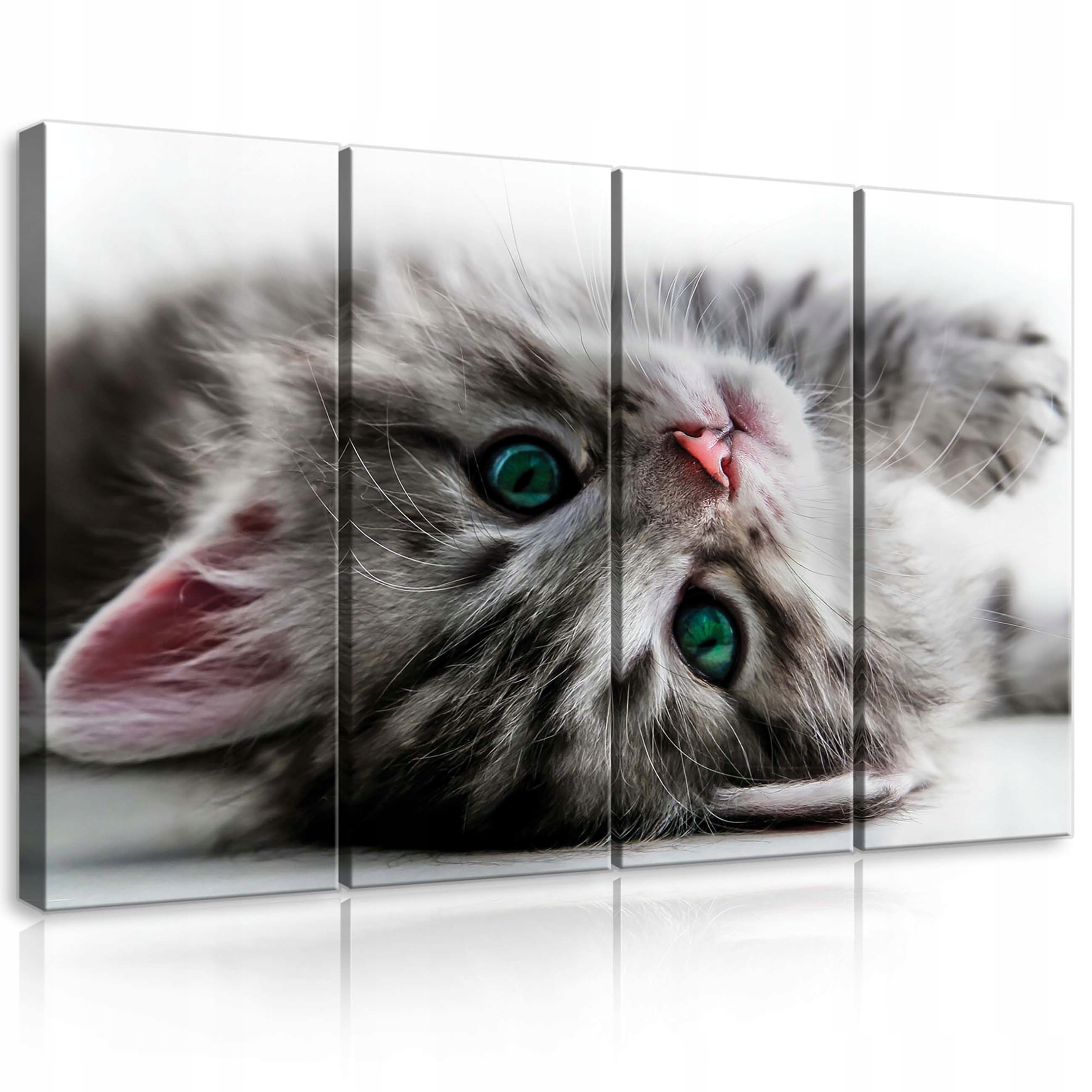 Obraz 120x80 Kočka Kotě nadýchaný, sladké zelené oči, domácí zvíře