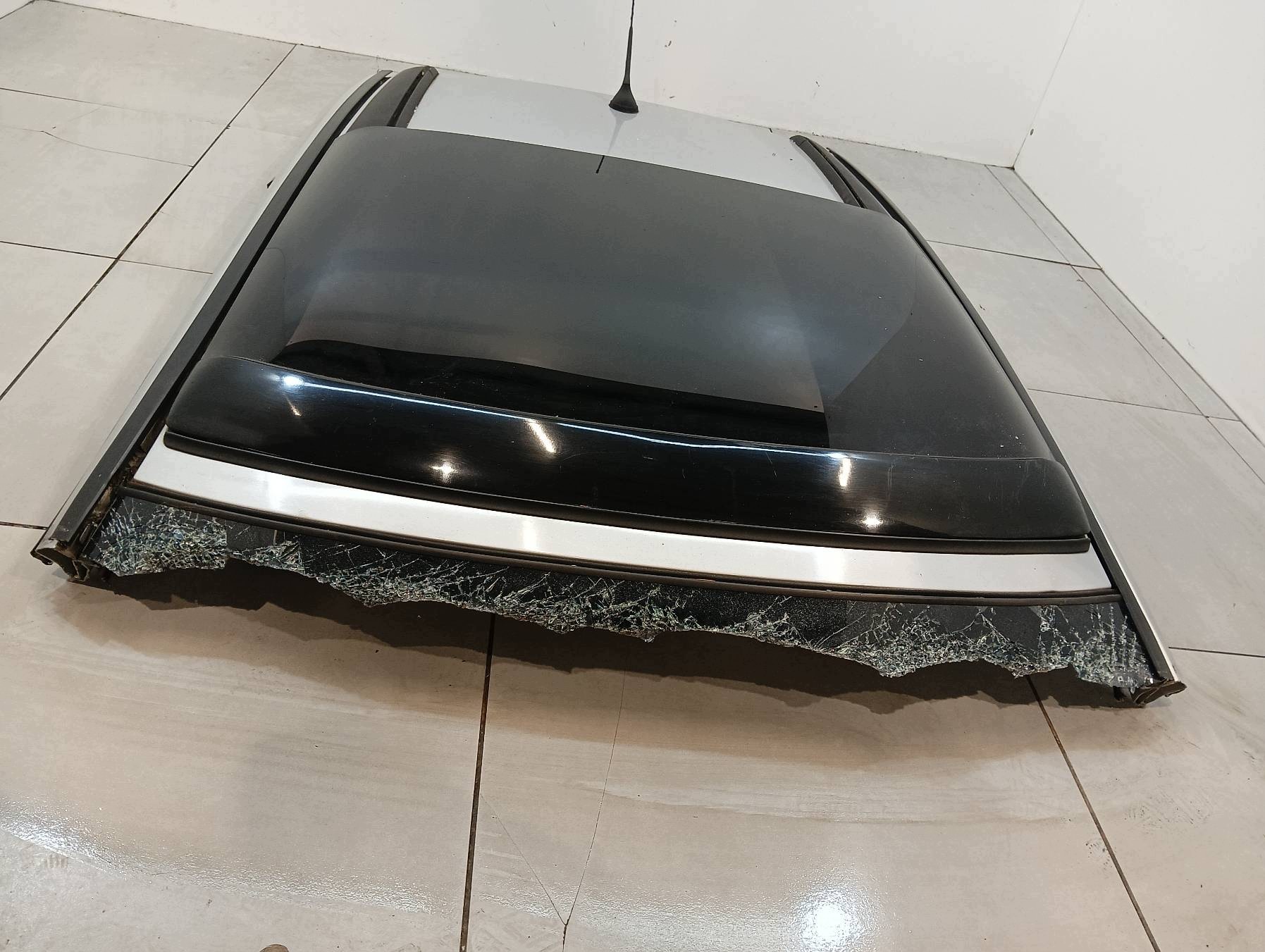 dach 3D schiebedach Peugeot 206 und (1998-2010)
