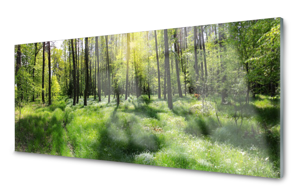 

Panel szklany do kuchni Las Trawa Roślina 125x50
