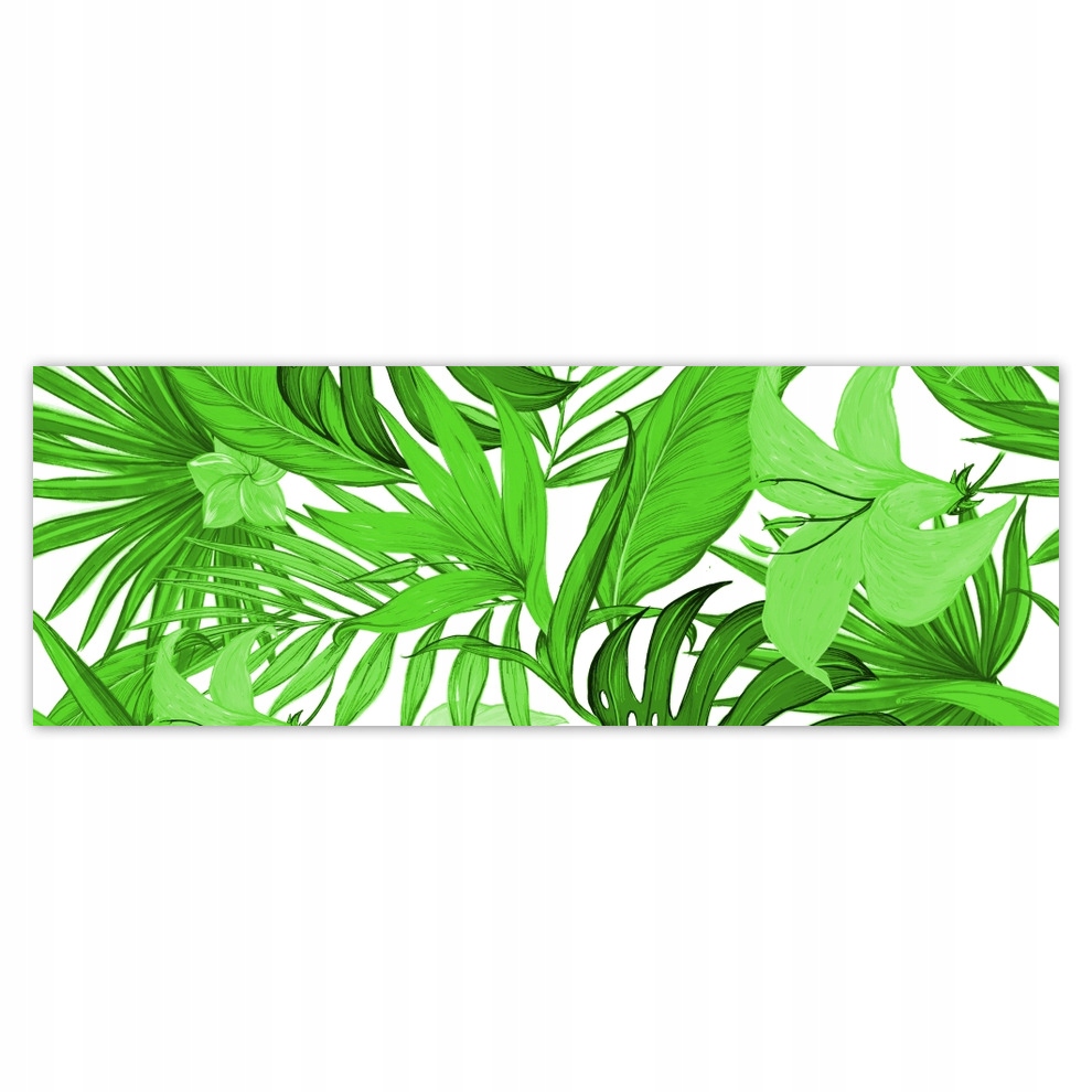 

Fototapety flizelina 624x219 Monstera