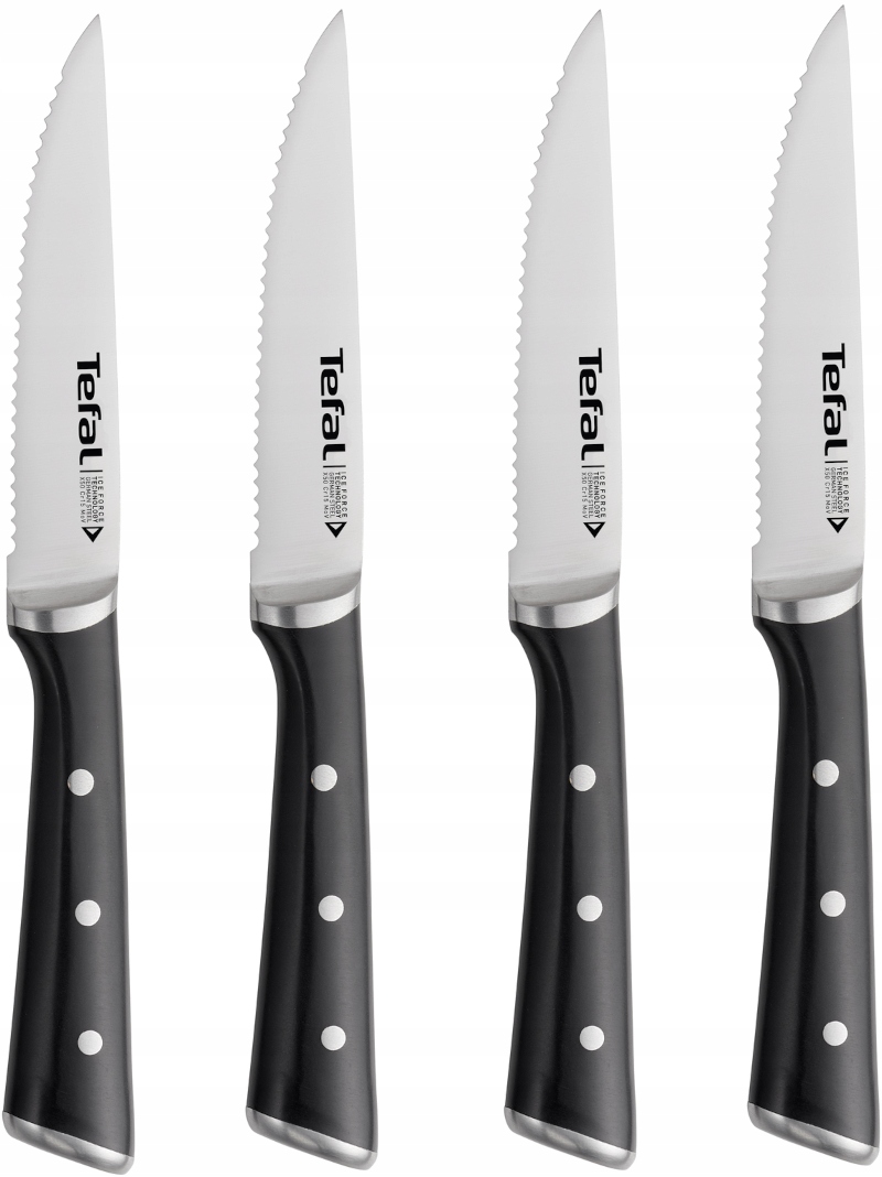 

Zestaw 4 noży do steków Tefal Ice Force K232S414
