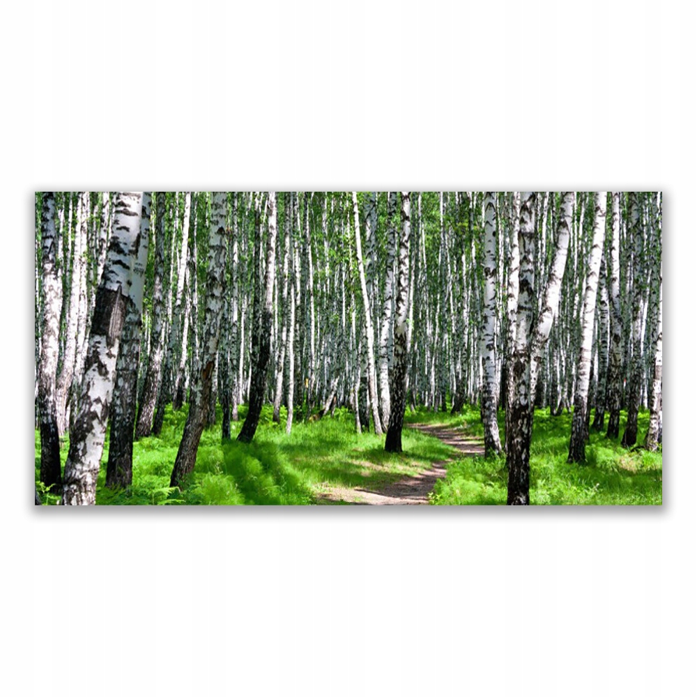 

Obraz ścienny wiszący 140x70 Drzewa Trawa Natura