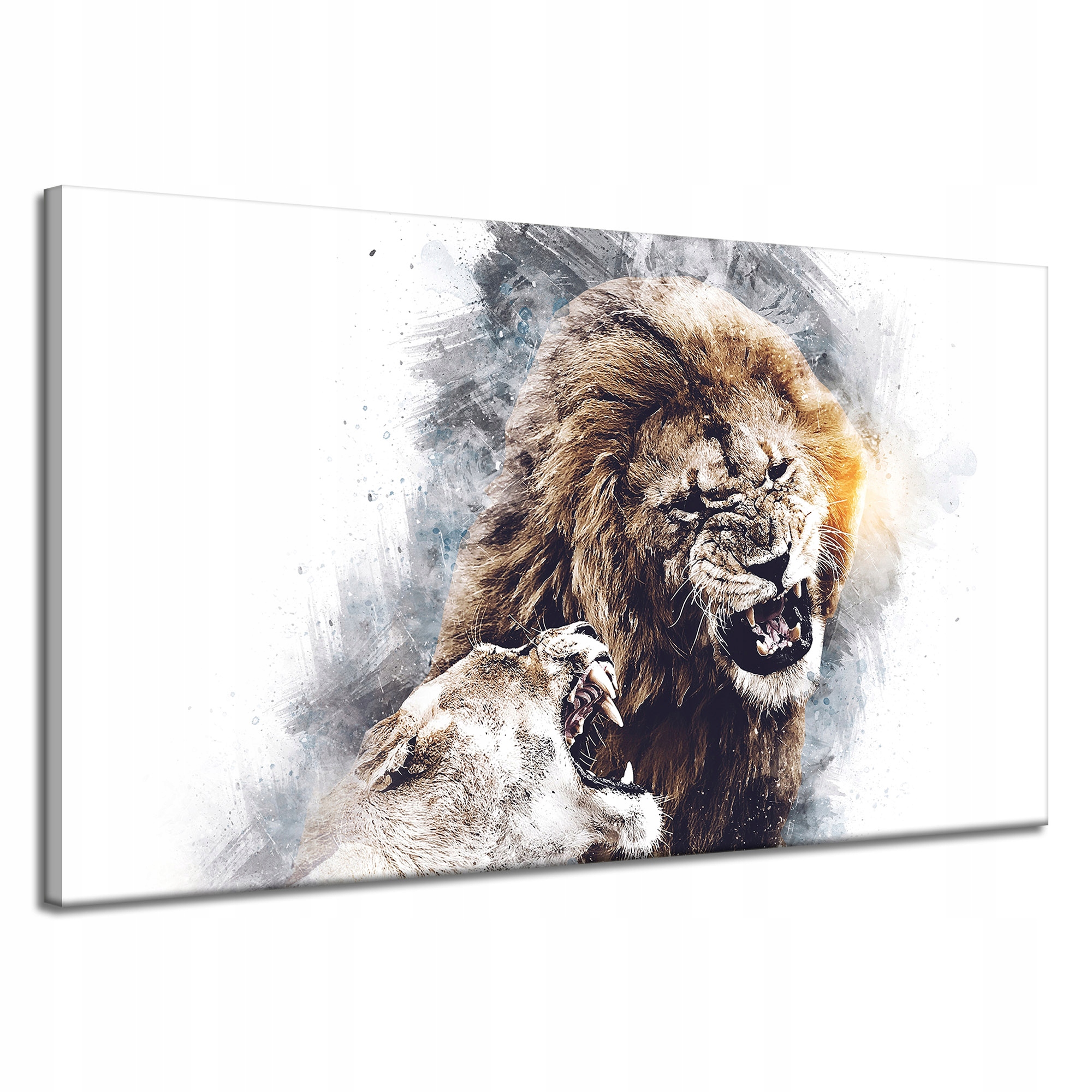 Obraz na plátně Ryk Lvů Hrozivý Pár Příroda 120x70 cm Ideální jako dárek