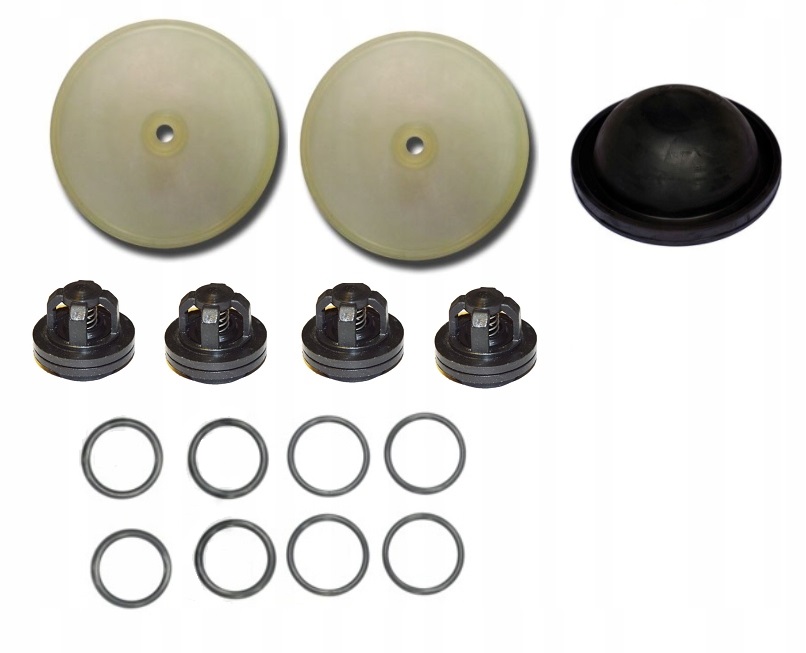 W19699 W21386 - РЕМОНТНЫЙ КОМПЛЕКТ НАСОСА P-120 TOLVERI ОПРЫСКИВАТЕЛЬ