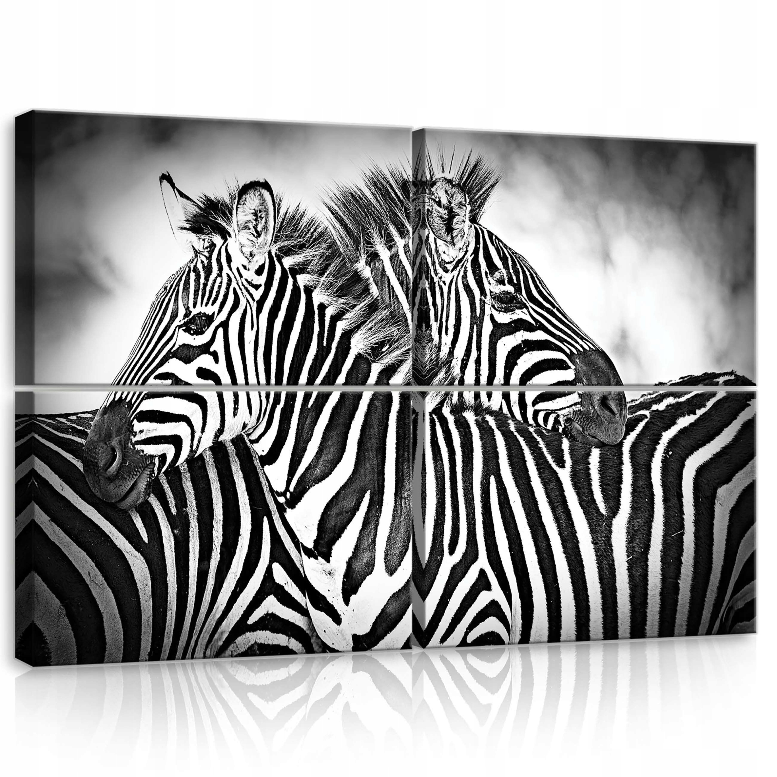 Obraz 120x80 Zebra pruhy čierno-biele safari zvieratá príroda vzor grafika