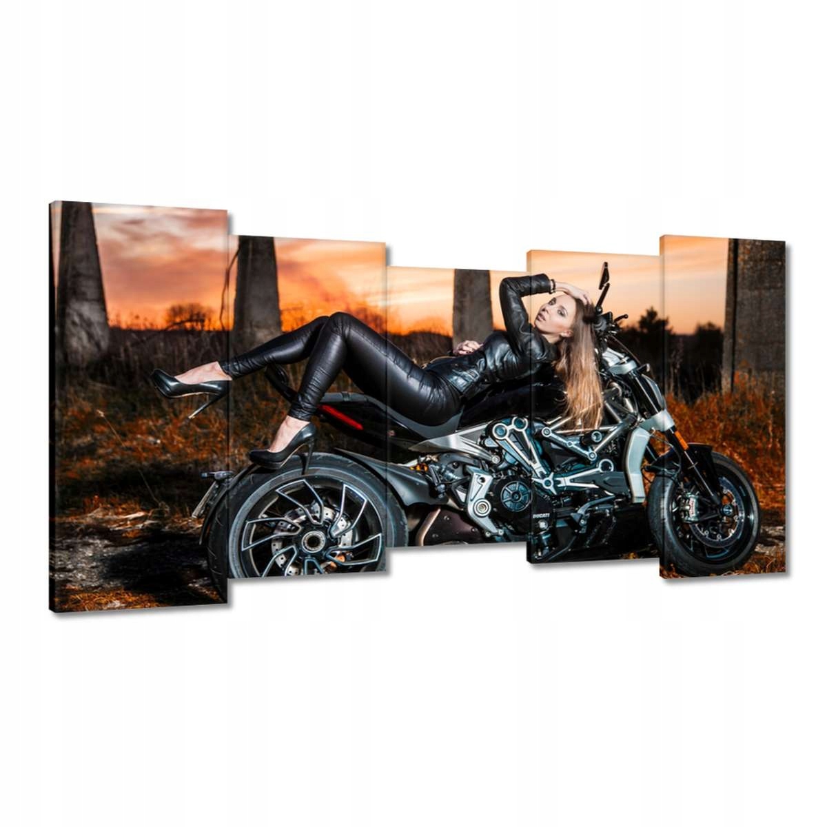 Obrazy 150x80 Ducati motorka Motocykl