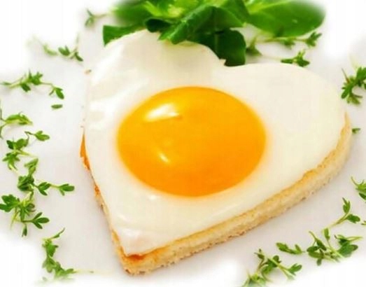 FORMA FOREMKA DO JAJEK SADZONYCH STALOWA JAJKA Materiał metal