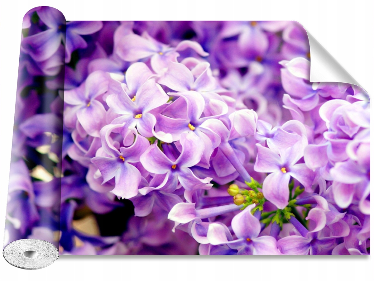 

Tapeta Samoprzylepna Fioletowe kwiaty 104x70