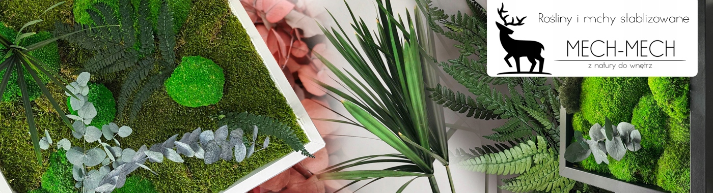 Mech Bagienny Poduszkowy do Chrobotek 0.55m2 Wysokość produktu 10 cm