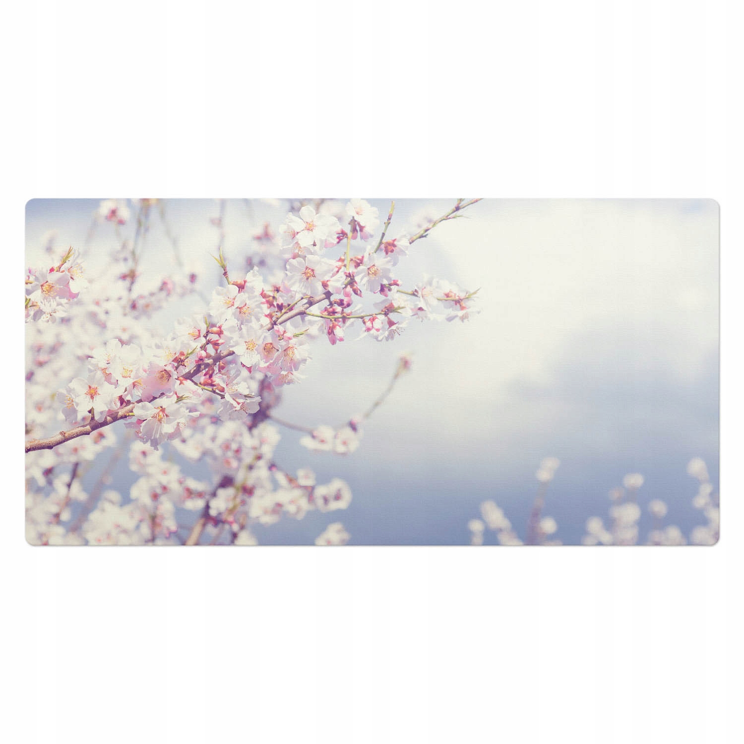 Vinylová podložka na psací stůl s grafikou Motiv jarních květin 100 x 50 cm