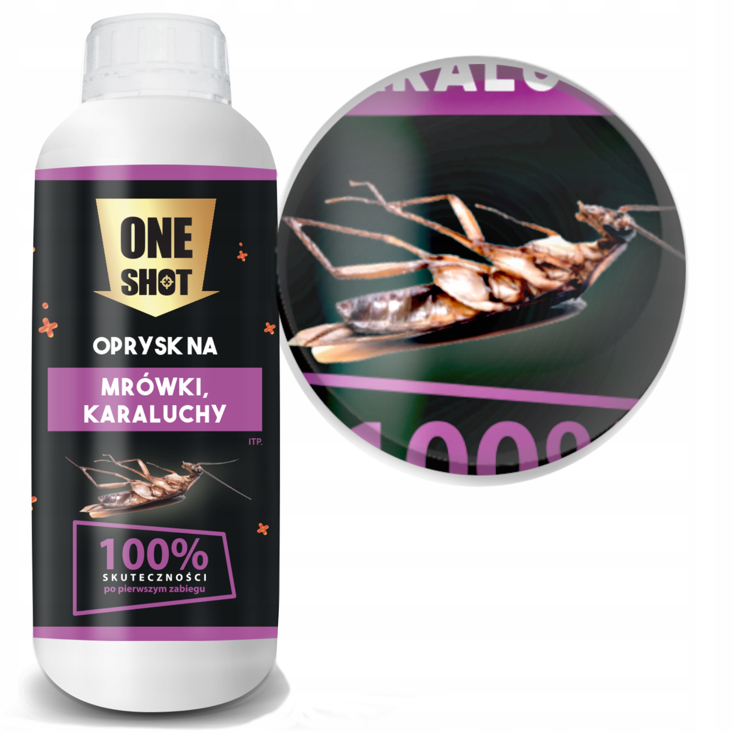 Preparat Na Karaluchy Mrówki Silny Koncentrat 1L