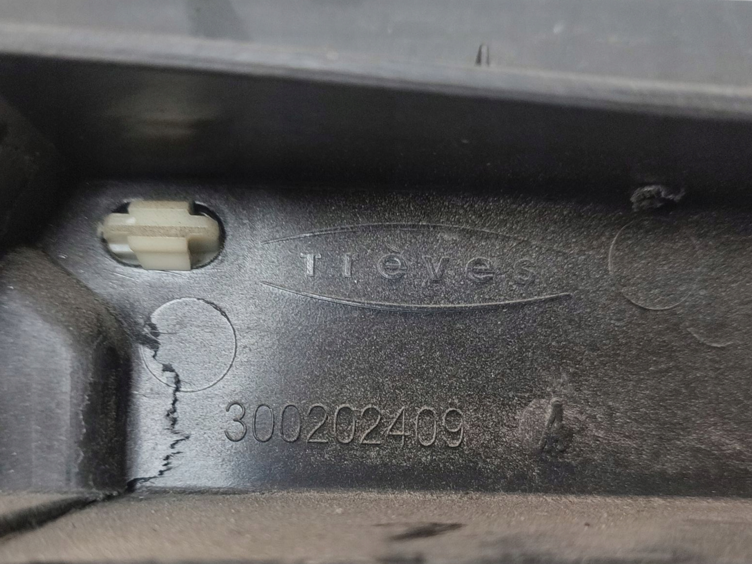 torpedo RENAULT SCENIC III 300202409