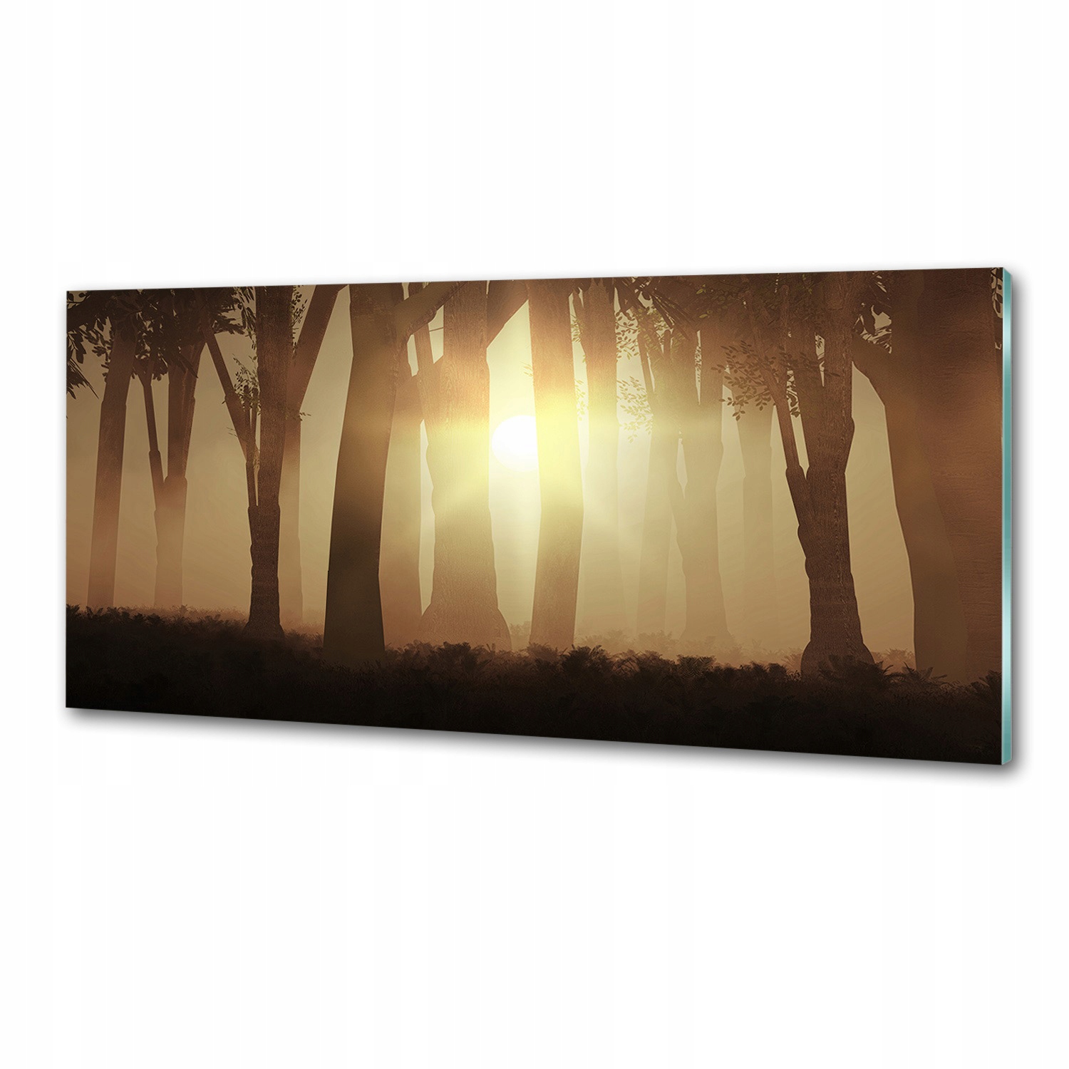 Panel dekor sklo Hmla v lese 125x50 cm Lepidlo